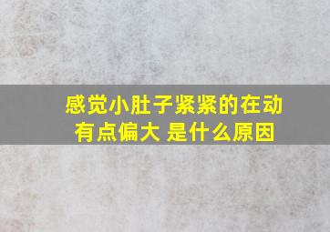 感觉小肚子紧紧的在动 有点偏大 是什么原因